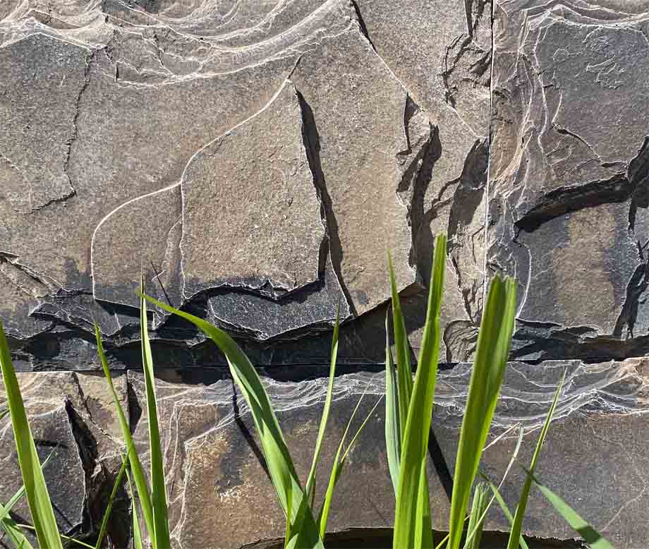 Искусственный камень Сланец 400х200мм болото 0.96м2 CraftStone купить в Санкт-Петербурге