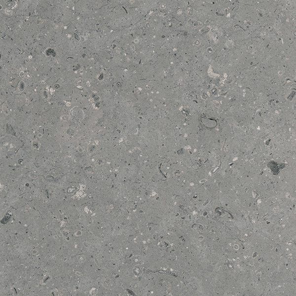 Керамогранит G213 Arkaim Grey 60х60 серый матовый MR Гранитея 1.44м2/4шт/упак купить в Санкт-Петербурге