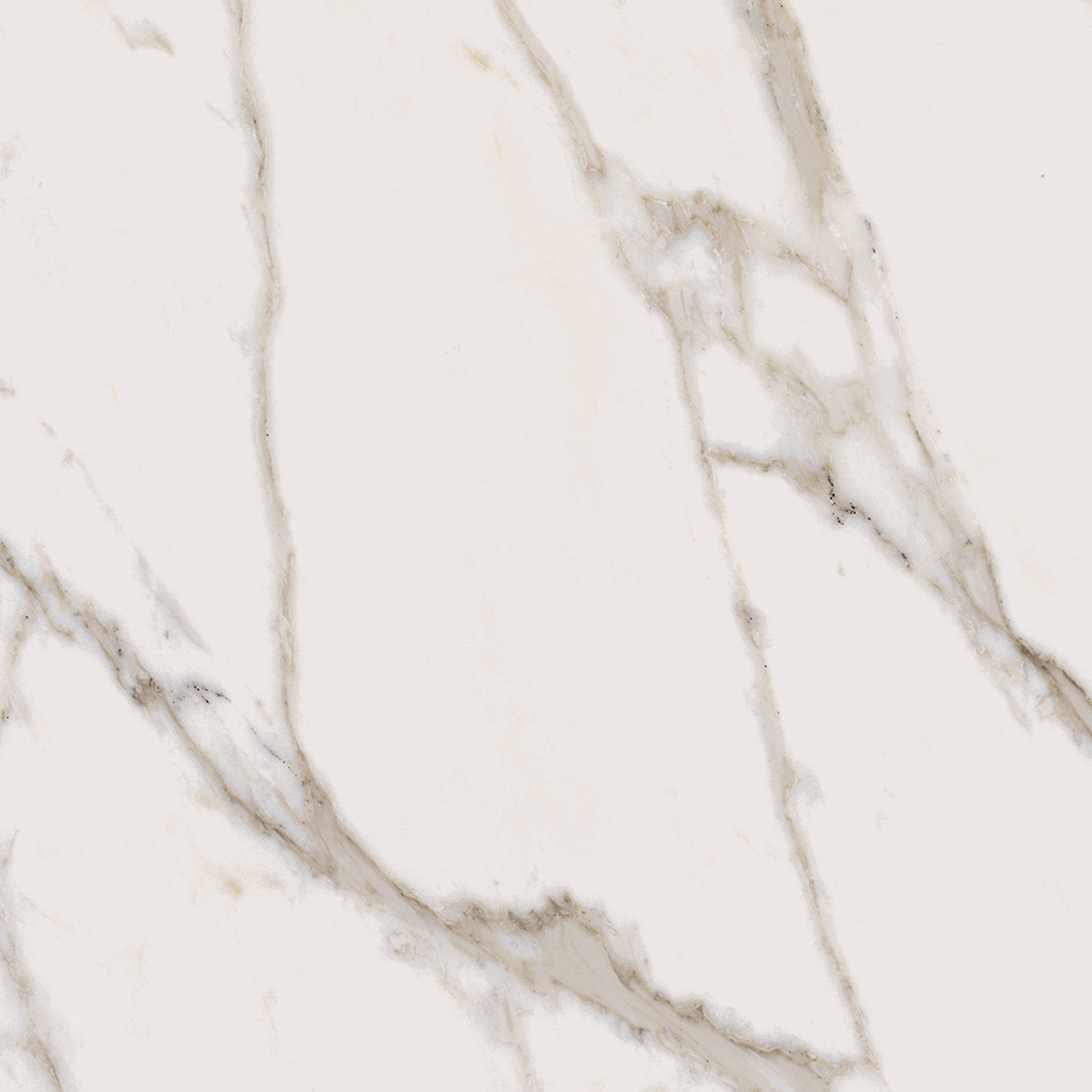 Керамогранит Шарм Эво Калакатта люкс 60x60x0.9см 3шт/1.08м2/уп Италон купить в Санкт-Петербурге