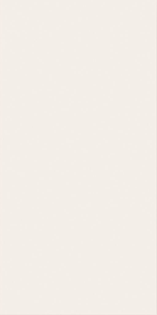 Керамагранит Italon УАЙТ МАТТ 40X80 (уп. 4 шт/1,28 м2)  купить в Санкт-Петербурге