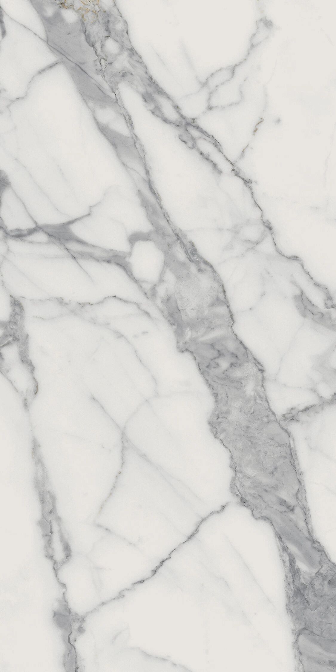 Керамогранит Шарм Эво Статуарио рет 60x120x0.9см 2шт/1.44м2/уп Италон купить в Санкт-Петербурге