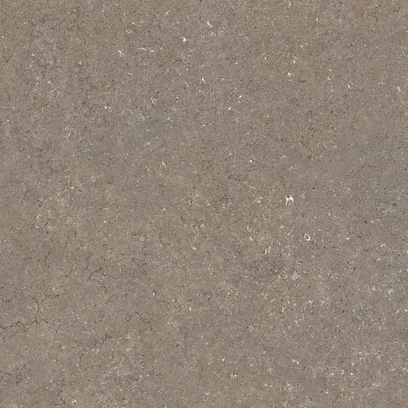 Керамогранит Дискавер Дезерт рет 60x60x0.9см 3шт/1.08м2/уп Италон купить в Санкт-Петербурге