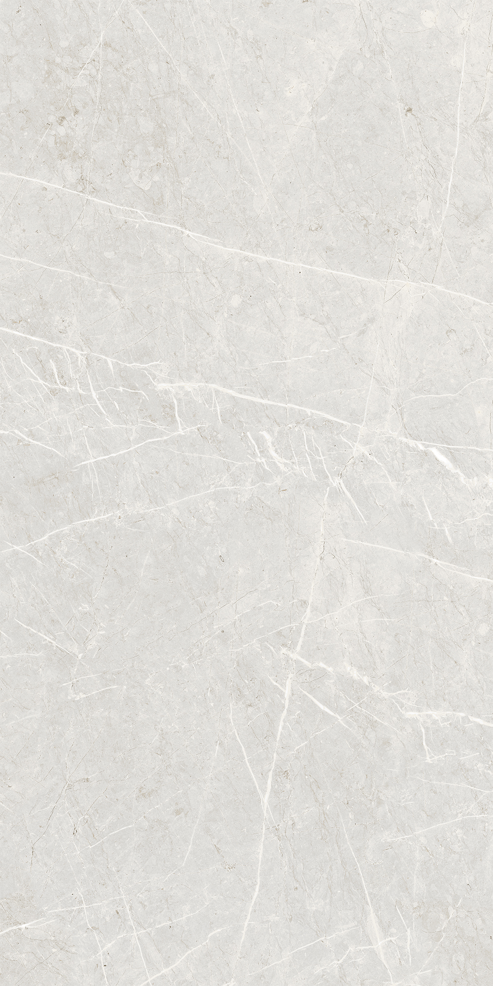 Керамогранит Skala 60x120x1см K-2201/LR 2шт/1.44м2/уп Kerranova купить в Санкт-Петербурге