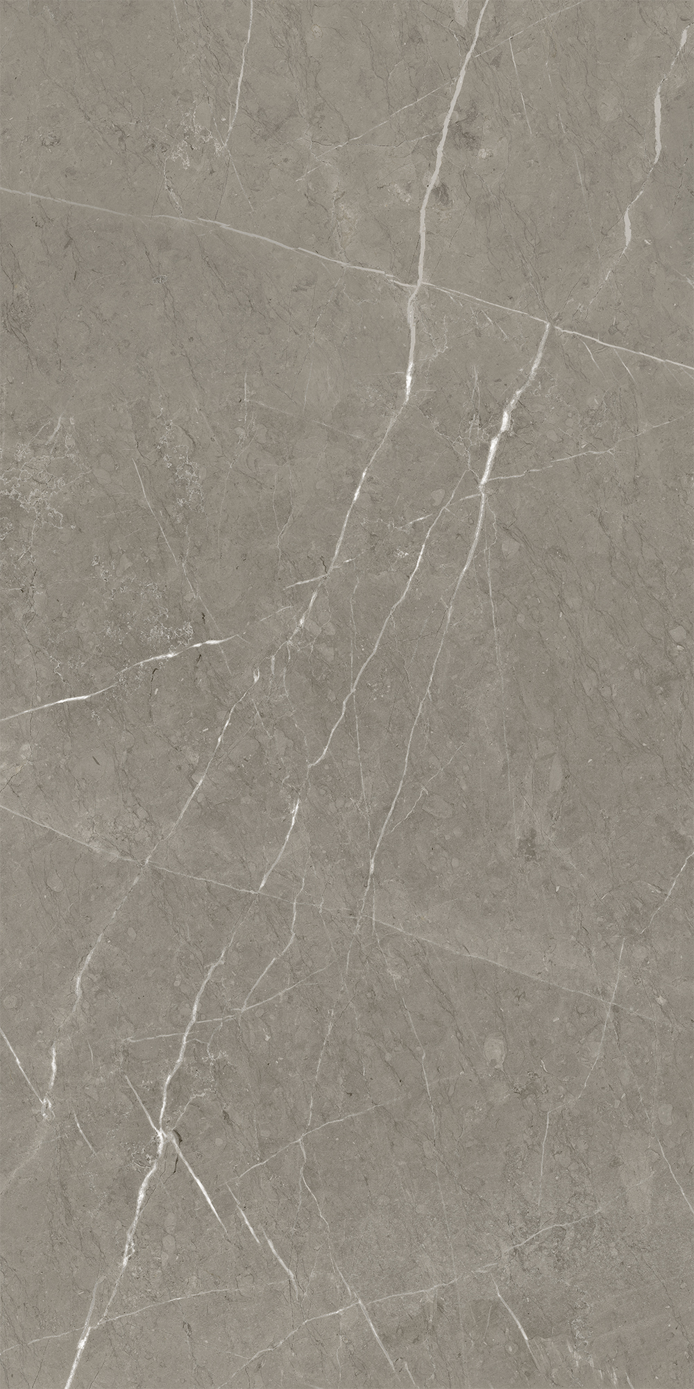 Керамогранит Skala 60x120x1см K-2202/MR 2шт/1.44м2/уп Kerranova купить в Санкт-Петербурге