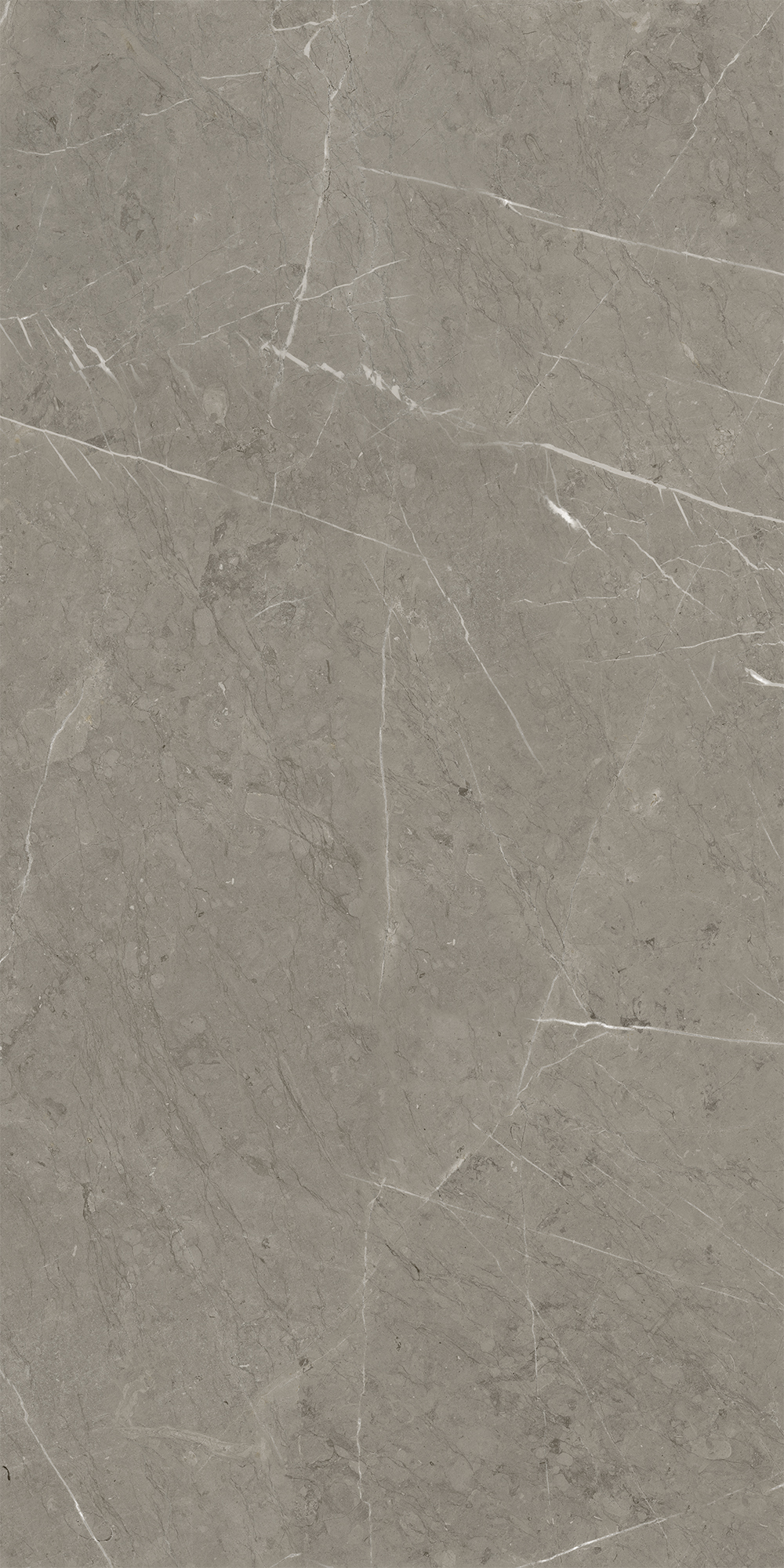 Керамогранит Skala 60x120x1см K-2202/LR 2шт/1.44м2/уп Kerranova купить в Санкт-Петербурге