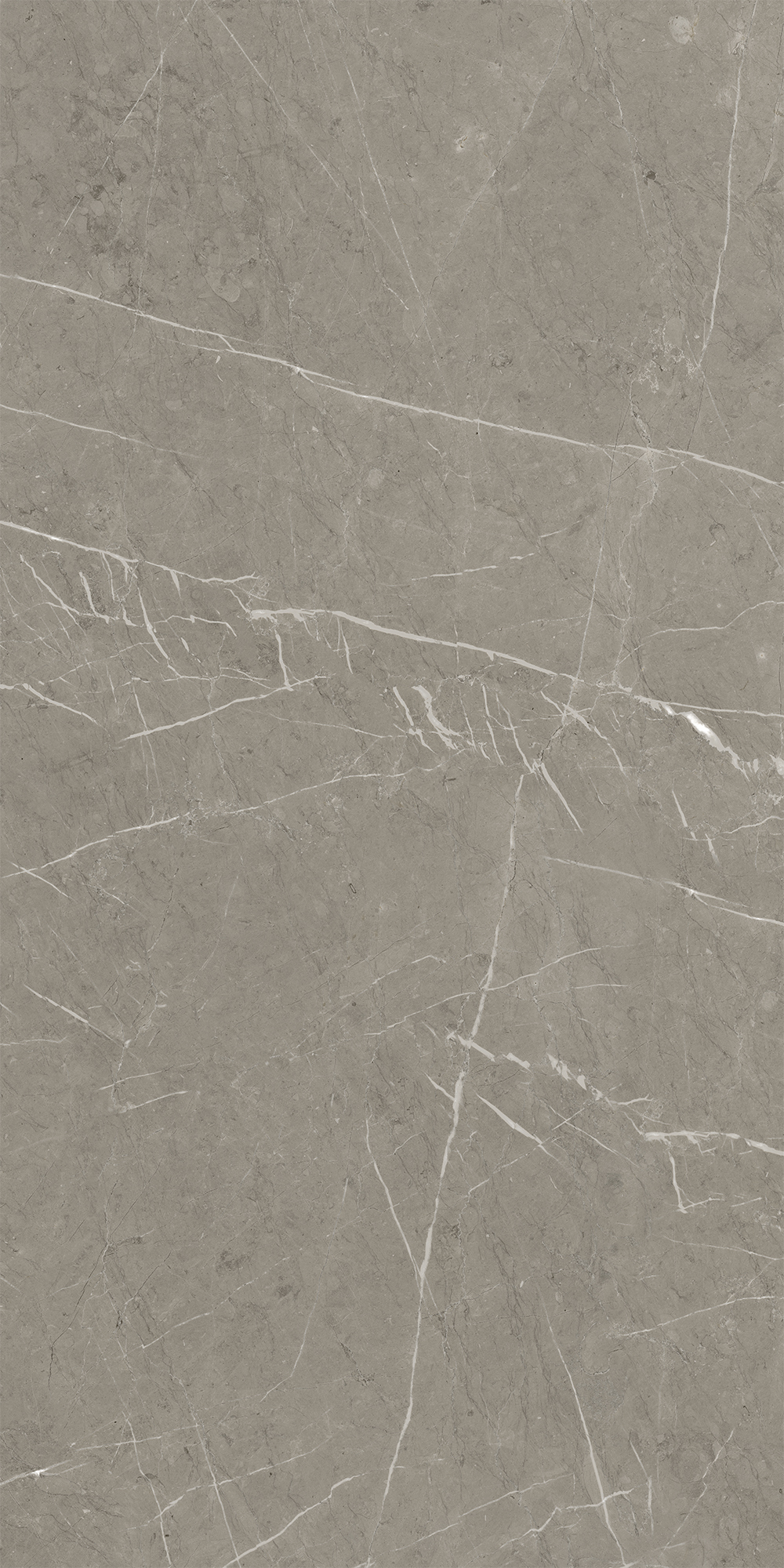 Керамогранит Skala 60x120x1см K-2202/MR 2шт/1.44м2/уп Kerranova купить в Санкт-Петербурге