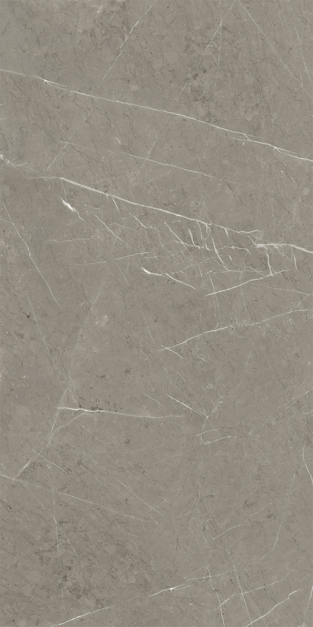 Керамогранит Skala 60x120x1см K-2202/LR 2шт/1.44м2/уп Kerranova купить в Санкт-Петербурге