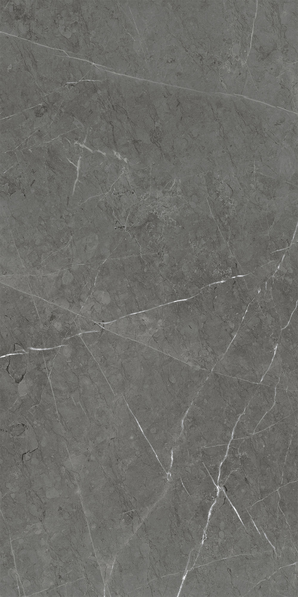 Керамогранит Skala 60x120x1см K-2203/LR 2шт/1.44м2/уп Kerranova купить в Санкт-Петербурге