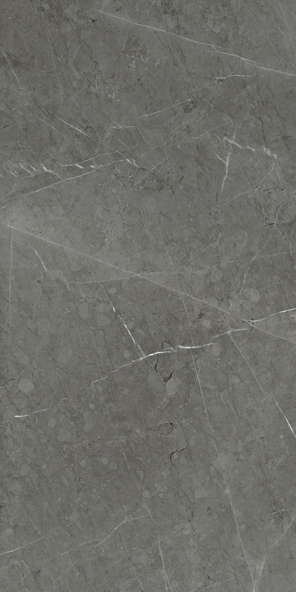 Керамогранит Skala 60x120x1см K-2203/LR 2шт/1.44м2/уп Kerranova купить в Санкт-Петербурге