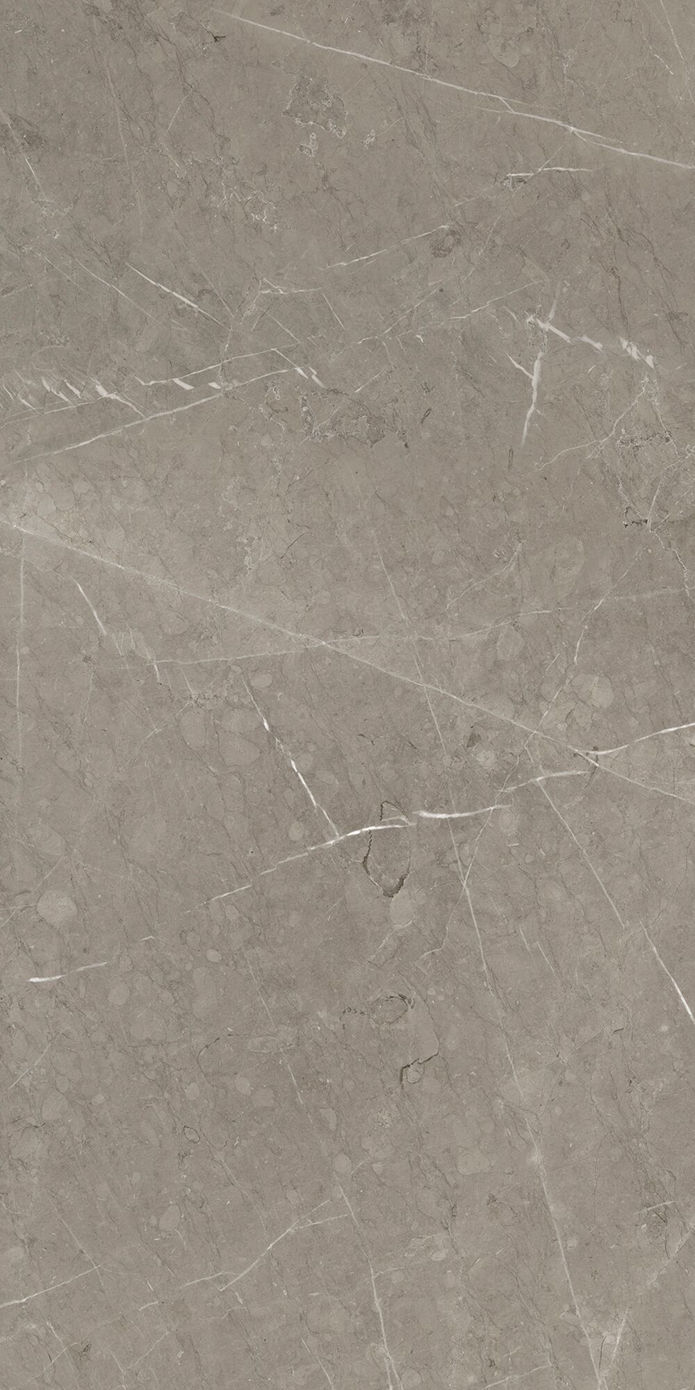 Керамогранит Skala 60x120x1см K-2202/LR 2шт/1.44м2/уп Kerranova купить в Санкт-Петербурге