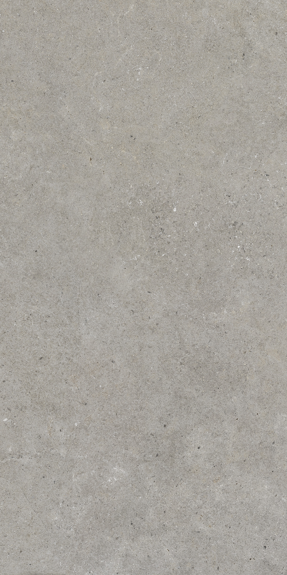 Керамогранит Monochrom 60x120x1см K-2062/MR 2шт/1.44м2/уп Kerranova купить в Санкт-Петербурге