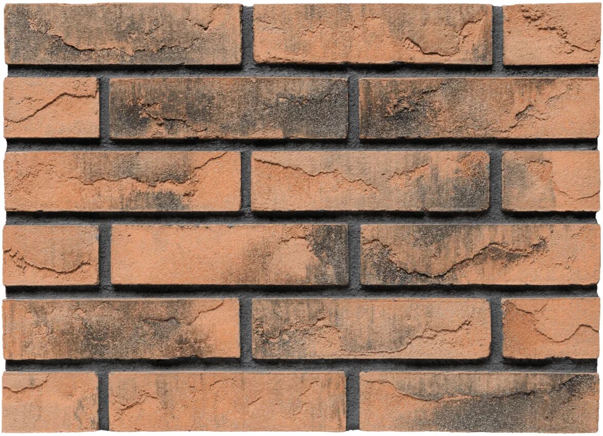 Кирпич облицовочный NF Traditional глиняный 240х60х100мм 58шт/м2 420шт/пд BrickWell купить в Санкт-Петербурге