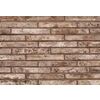 ДЗ Тандем Кирпич ручной формовки ПЛУТОНЪ MF Коричневый 290х90х40мм 608шт/пд купить в Санкт-Петербурге