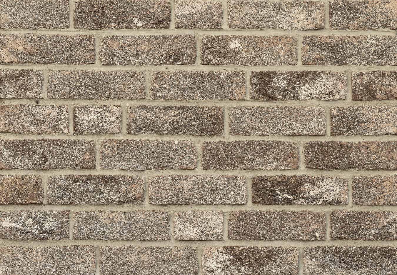 ДЗ Тандем Кирпич ручной формовки Серебряно WDF Серый 215х102х65мм 512шт/пд купить в Санкт-Петербурге