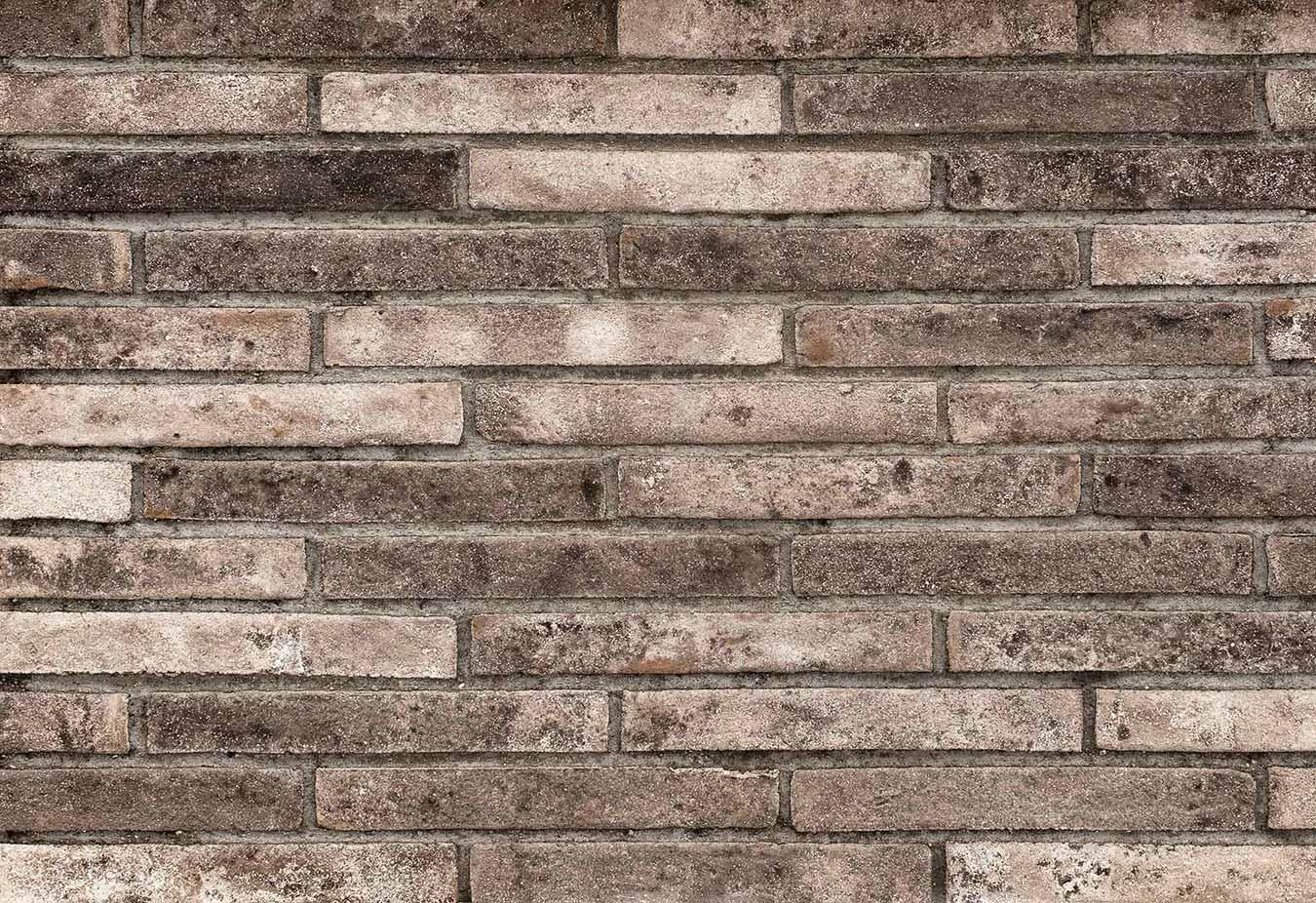 ДЗ Тандем Кирпич ручной формовки СЕВЕРЪ MF Серый 290х90х40мм 608шт/пд купить в Санкт-Петербурге