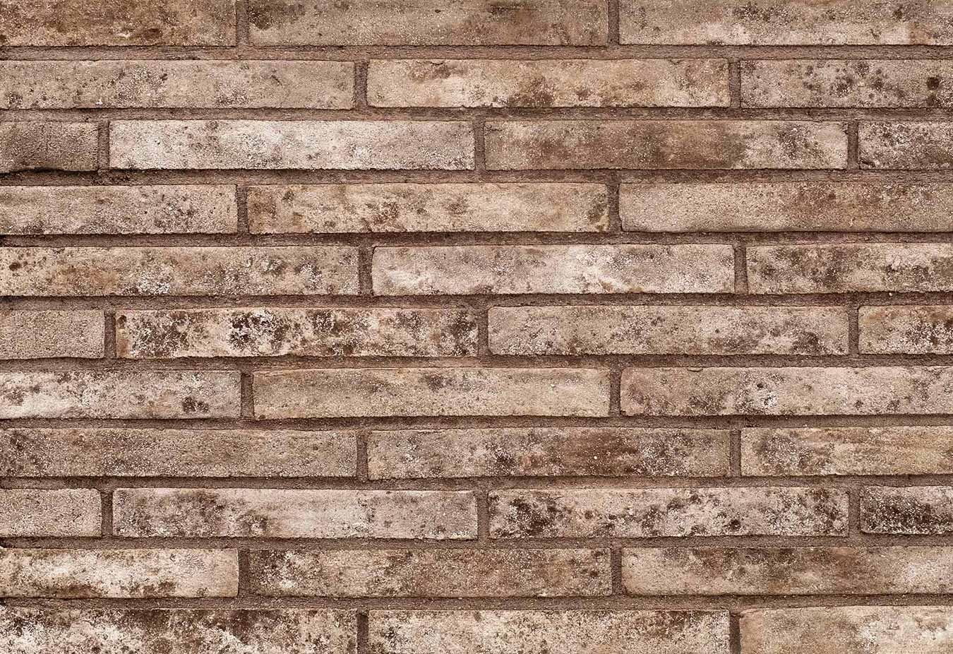 ДЗ Тандем Кирпич ручной формовки ПЛУТОНЪ MF Коричневый 290х90х40мм 608шт/пд купить в Санкт-Петербурге