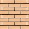 ЖКЗ Кирпич лицевой Соломенный Дерево 1НФ 250х120х65мм 480шт/пд купить в Санкт-Петербурге