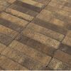 BRAER Тротуарная плитка Прямоугольник Color Mix Каштан 200х100х40мм 19,44м2/пд купить в Санкт-Петербурге