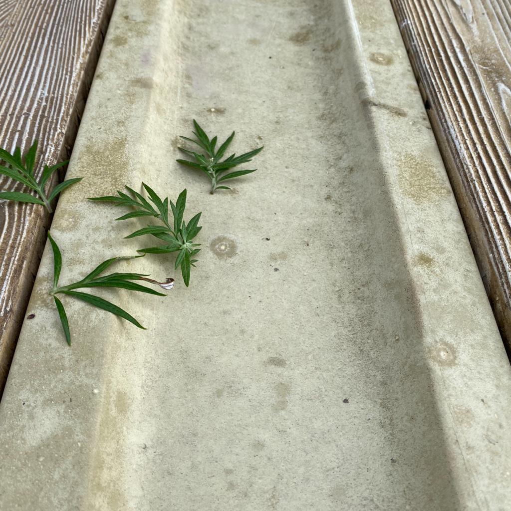 Лоток водоотводный тротуарный 585х195х40мм CraftStone купить в Санкт-Петербурге