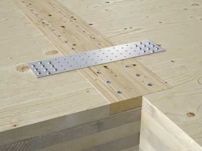 Пластина перфорированная LBV60200 60х200х2мм HOLZTECHNIC/ROTHOBLAAS купить в Москве