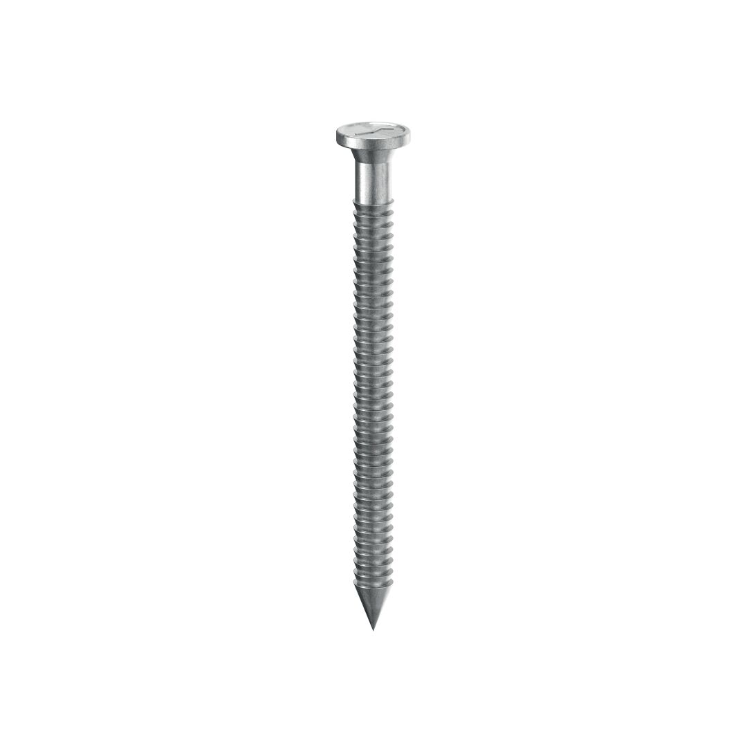 Гвоздь ершеный для дерева 4х40 белый цинк 250шт/уп HOLZTECHNIC/ROTHOBLAAS купить в Санкт-Петербурге