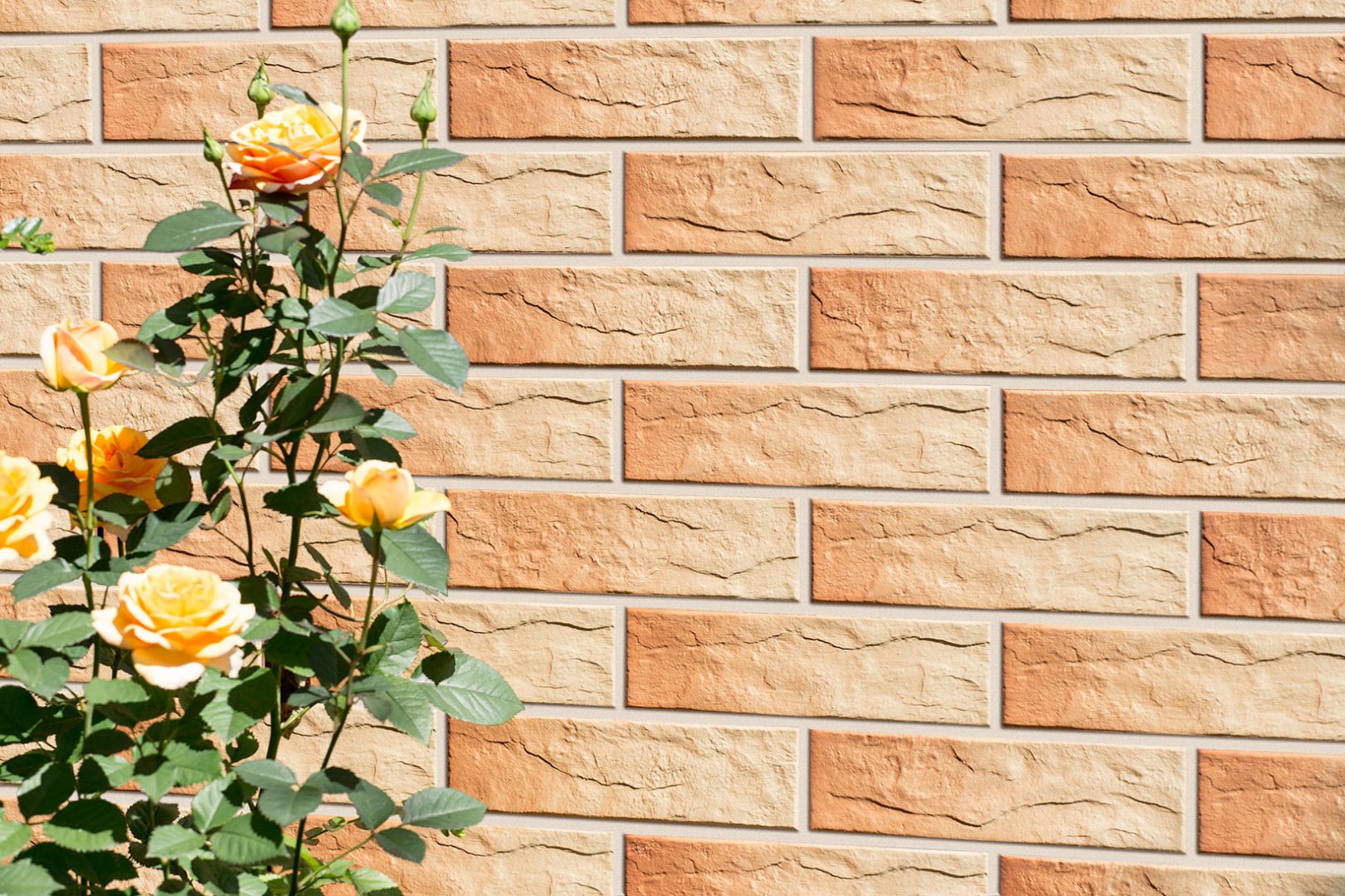 Плитка клинкерная под кирпич Elewacja rustiko gobi 24.5х6.5х0.65 матовый 32шт/упак Cerrad купить в Санкт-Петербурге