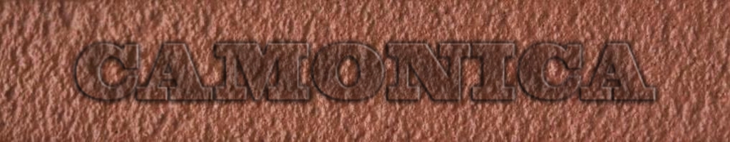 Затирка для клинкера Camonica 25 кг (шов 5-30 мм) купить в Санкт-Петербурге