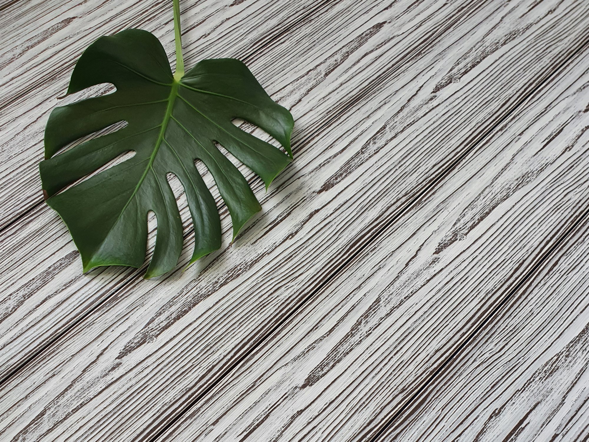 Доска террасная ТЕРРАпол АНТИК Мультиколор Троя 147х23х3000мм купить в Санкт-Петербурге