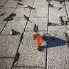 Новый город В.3.Фсм.8 Стоунмикс белый с черным мрамор купить в Санкт-Петербурге