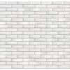 Recke Glanz 1-18-00-0-00 Кирпич облицовочный Белый 1НФ 250х120х65мм 480шт/пд купить в Санкт-Петербурге