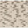 Recke Classic 1-51-00-0-00 Кирпич облицовочный Пестрый 0,7НФ 250х85х65мм 660шт/пд купить в Москве