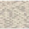 Recke Classic 1-41-00-0-00 Кирпич облицовочный Белый 0,7НФ 250х85х65мм 660шт/пд купить в Санкт-Петербурге