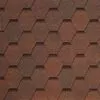 Nocciola 418