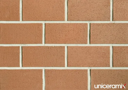 Тротуарная плитка UX3316 Red натуральная 200x100x16мм 40шт/уп Uniceramix купить в Санкт-Петербурге