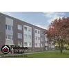 Кирпич клинкерный FeldHaus K560DF 240х115х52мм 576шт/пд купить в Москве