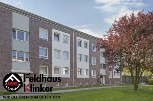 Кирпич клинкерный FeldHaus K560DF 240х115х52мм 576шт/пд купить в Санкт-Петербурге