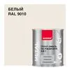 9010 (белый) 9010 (белый)