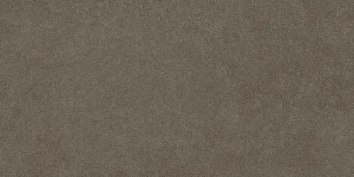 Керамогранит Forte Dei Marmi Rock Alpine Brown нат. 120х60х0.9см 2шт/1.44м2/уп AC купить в Санкт-Петербурге