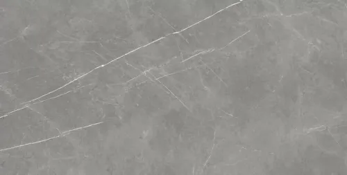 Керамогранит Forte Dei Marmi Elegant Grey нат. 160х80х0.9см 2шт/2.56м2/уп AC купить в Санкт-Петербурге