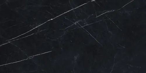 Керамогранит Forte Dei Marmi Elegant Black патинир. 120х60х0.9см 2шт/1.44м2/уп AC купить в Санкт-Петербурге